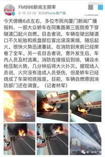 厦门最新爆料今日新闻,揭秘城市热点事件背后的真相